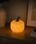 Citrouille Coussin Lumineuse
