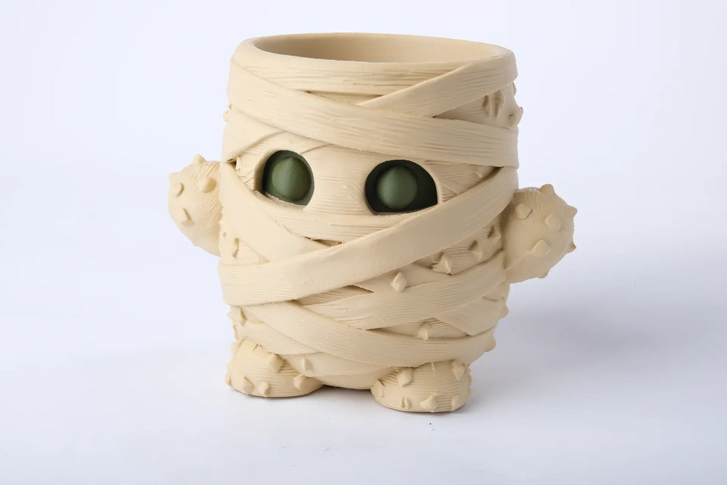 Vase Cactus Momie