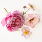 Bougie parfumée dans verre, fleurs roses rose pâle