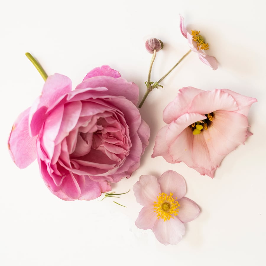 Bougie parfumée dans verre, fleurs roses rose pâle