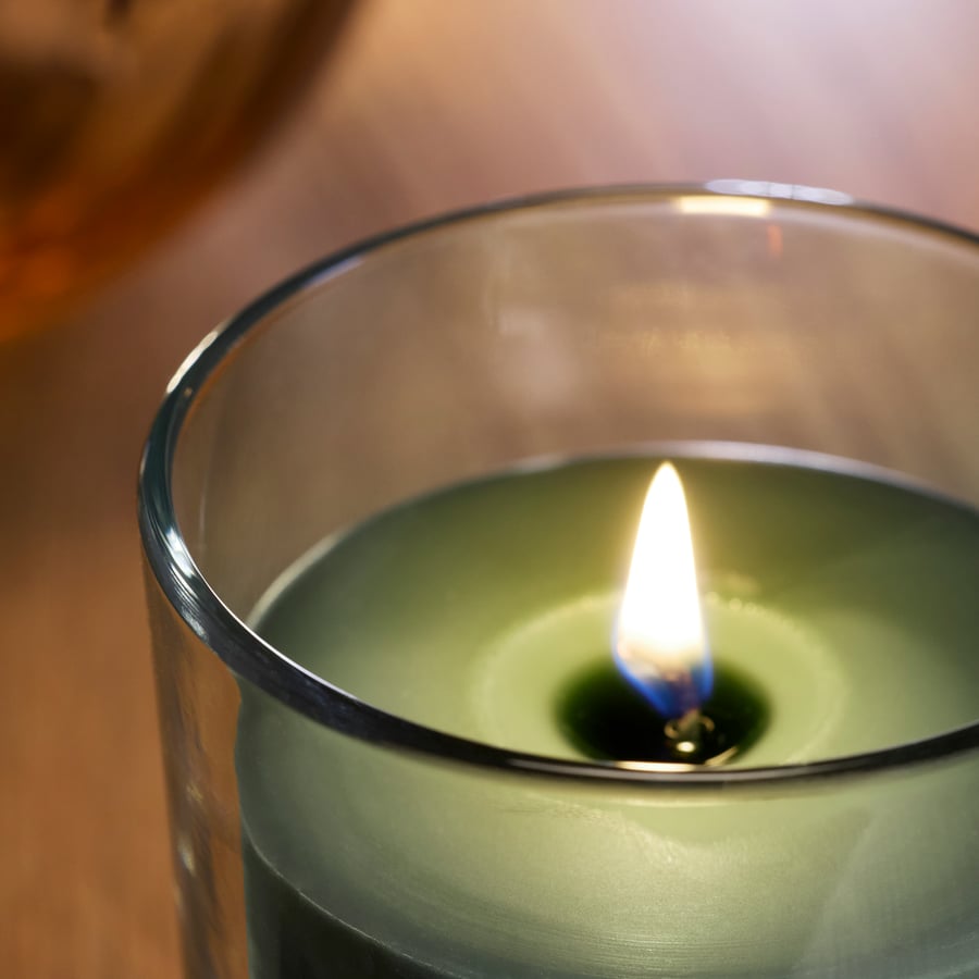 Bougie parfumée dans verre, feuille de figuier vert